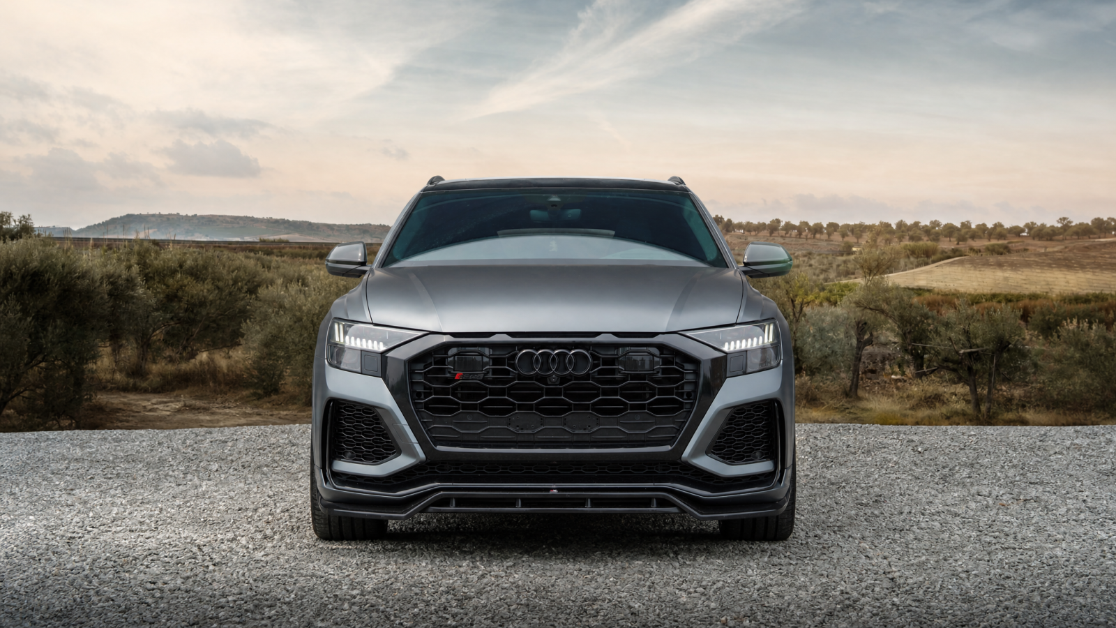 AUDI RSQ8