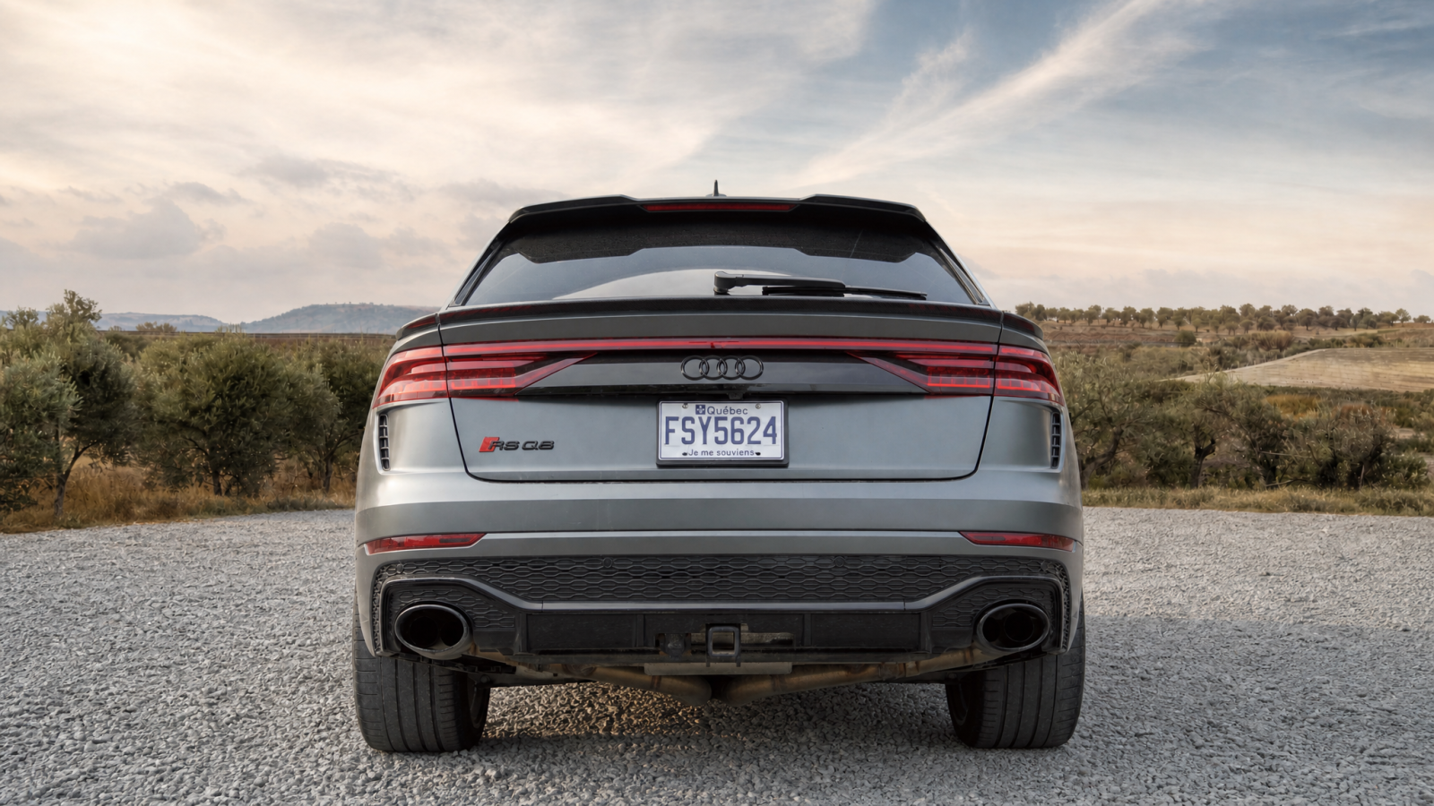 AUDI RSQ8