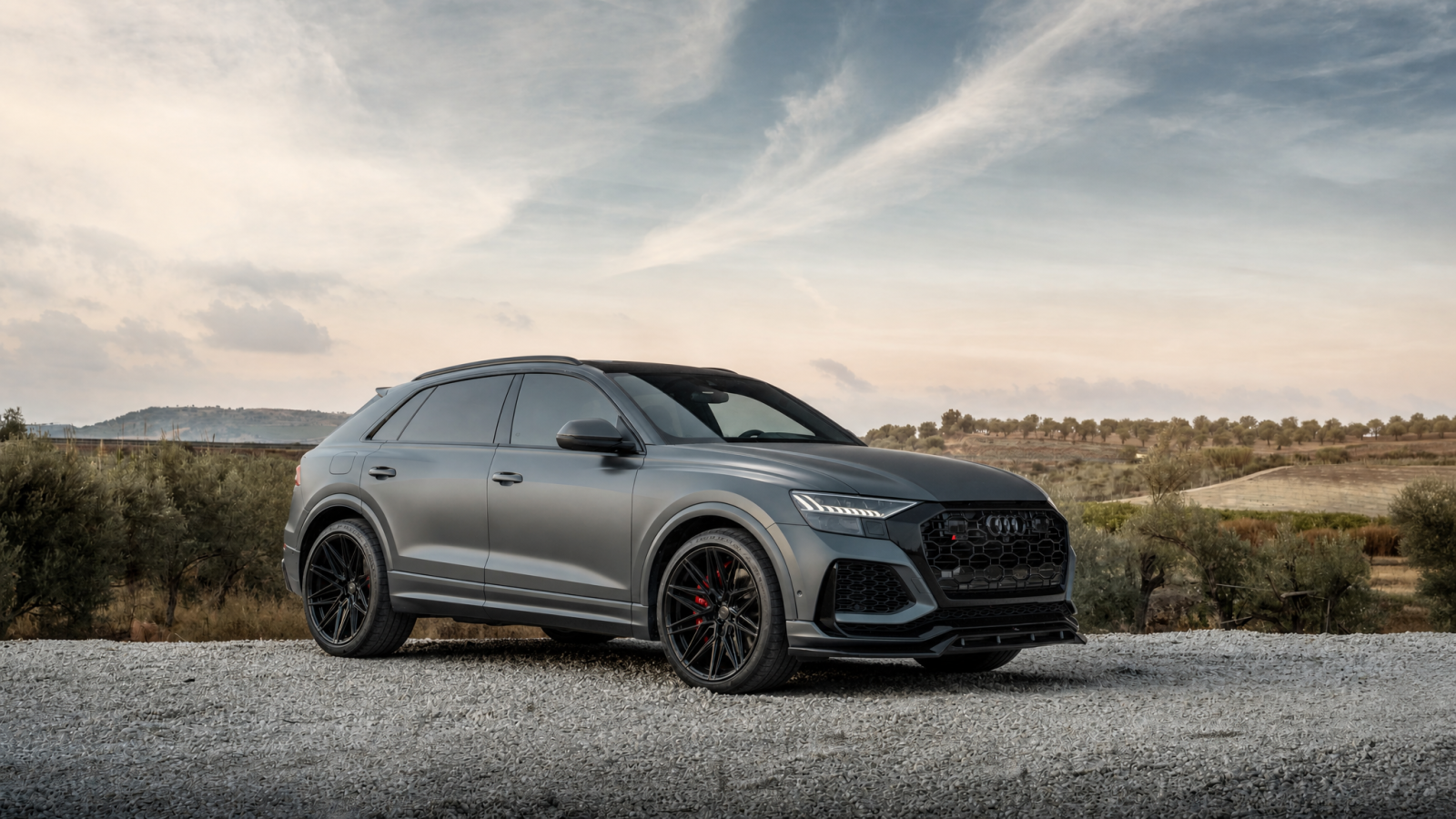 AUDI RSQ8